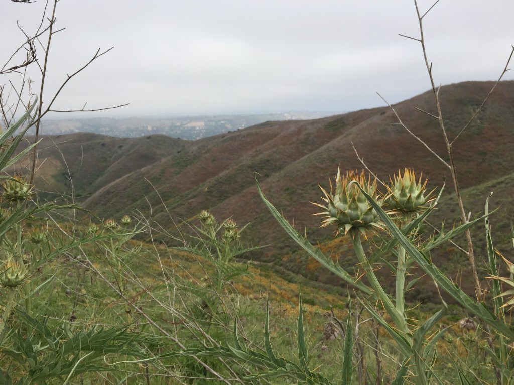 Harbor View Trail, Dana Point, CA