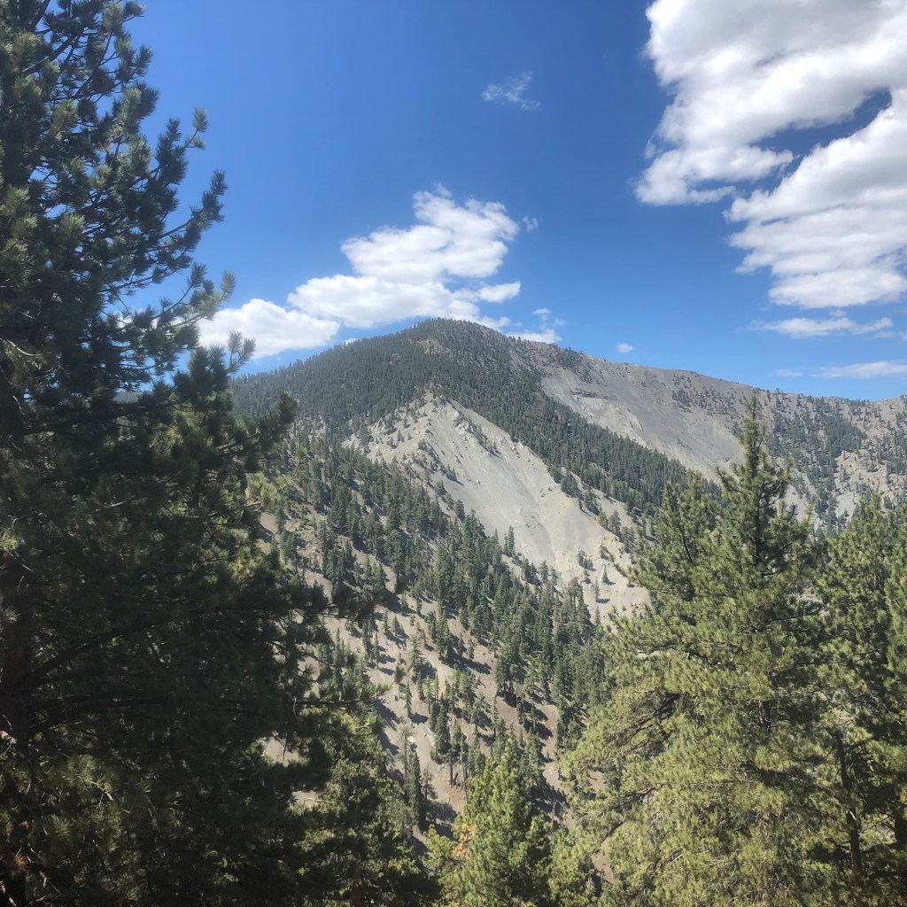 Pine Mountain, Angeles National Forest