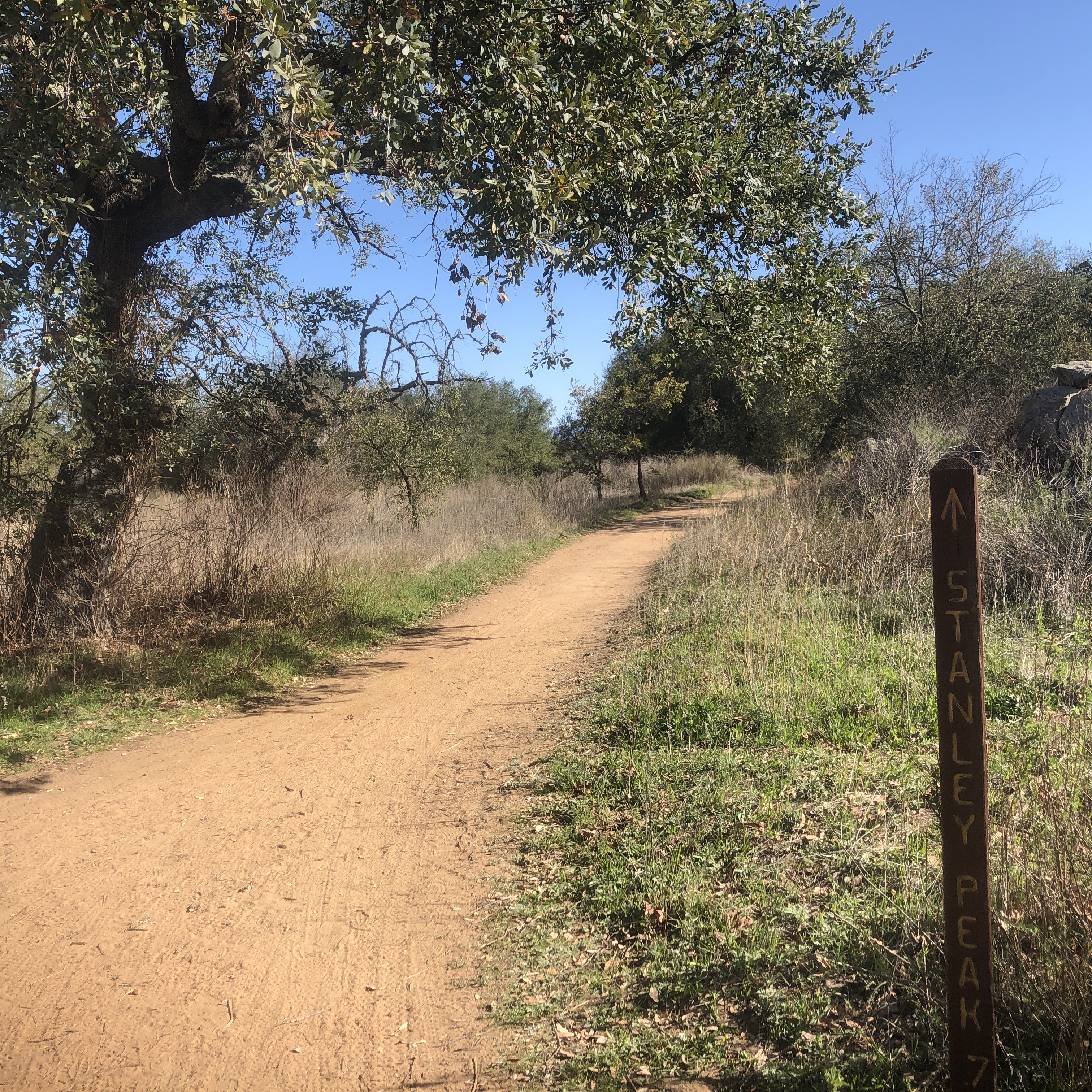 Hiking through Historic Daley Ranch To Stanley Peak on the Sage Trail ...