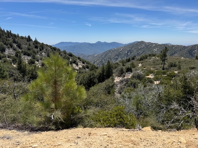 San Gabriel Wilderness from Pacifico Mountain Road.
