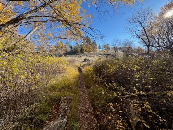 Stonewall Peak and Cuyamaca Rancho in&nbsp;Fall