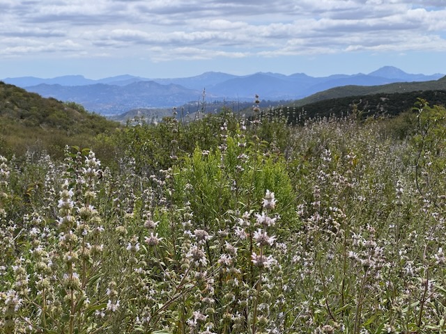 Mission Trails Regional Park