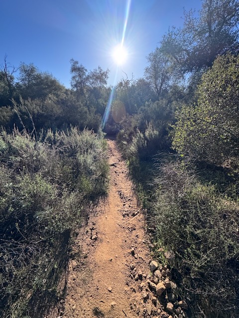 Bear Canyon Trail