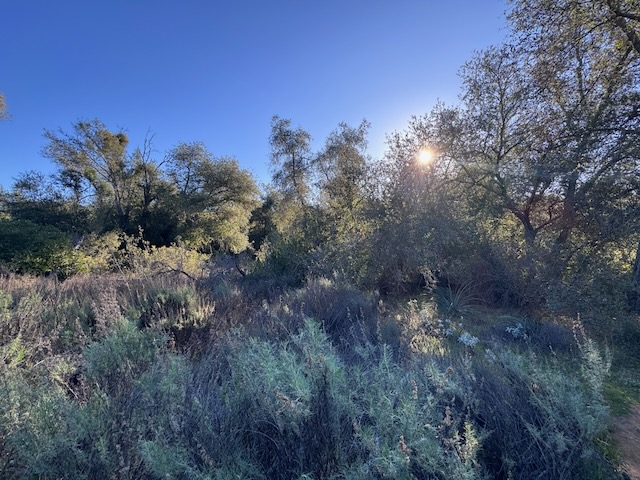 San Mateo Wilderness