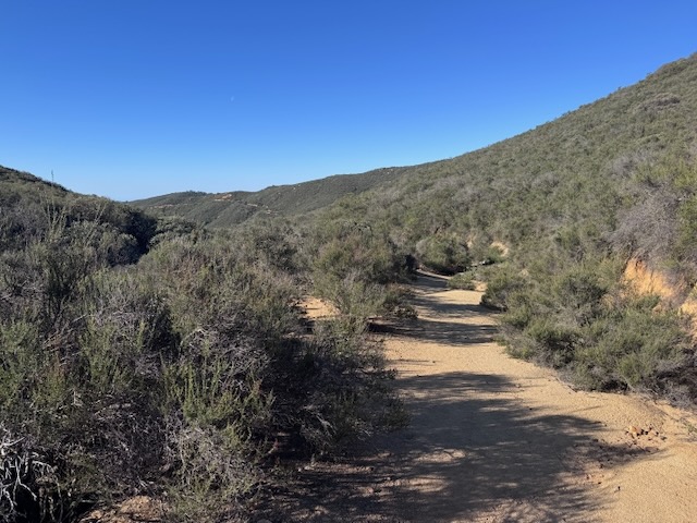 Bear Canyon Trail