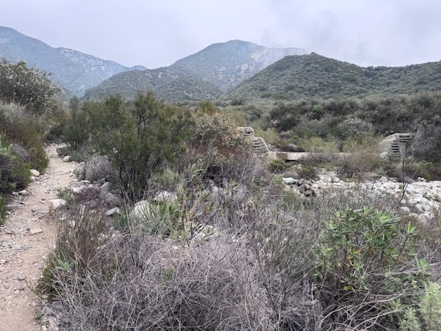 Trail to Mount Lukens