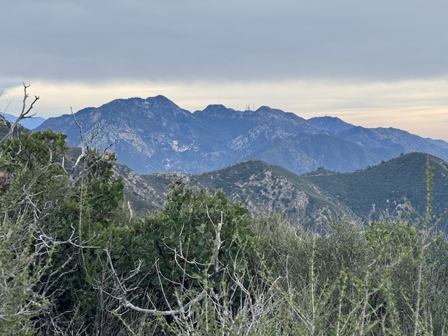Mount Wilson