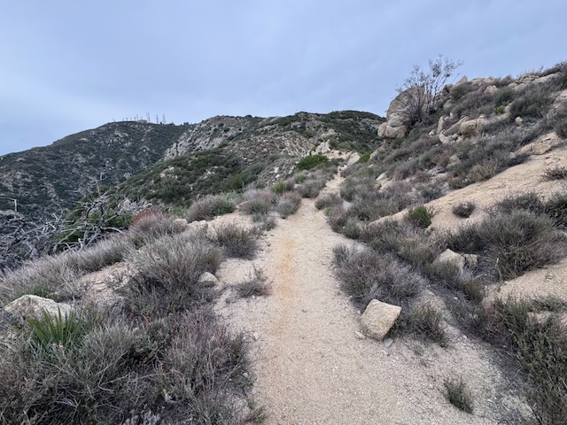 Mount Lukens trail