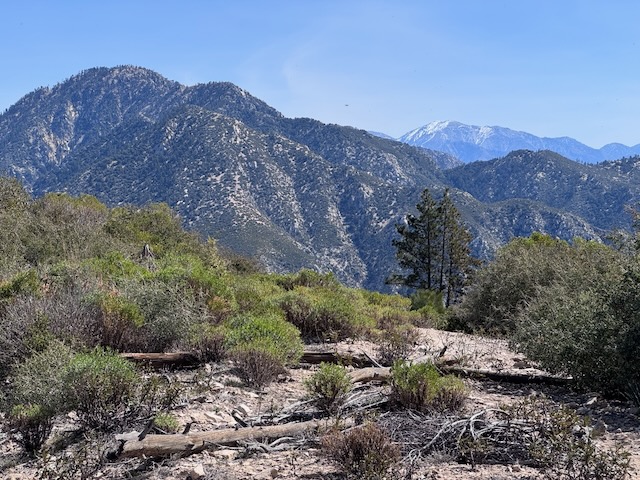San Gabriel Mountains