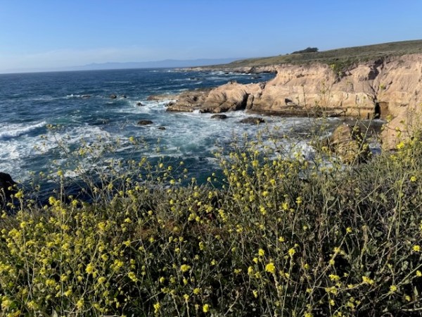 Road Trip: Part 2 – Montana Del Oro and Morro&nbsp;Bay